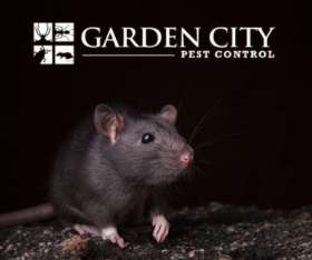 Rodent Control Victoria