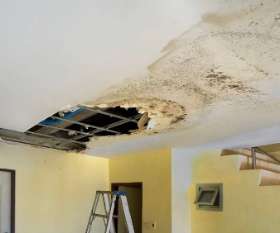 Your Trusted Solution for Leak Detection and Plumbing Protection Against Mold Damage | On Target Claims - Fort Lauderdale Public Adjusters