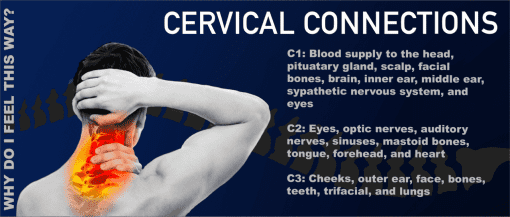 Cervical Connections