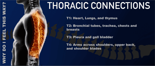 Thoracic Connections