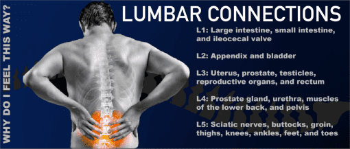 Lumbar Connections