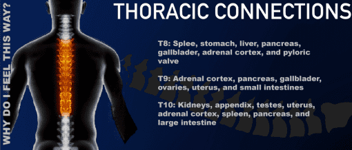 Thoracic Connections