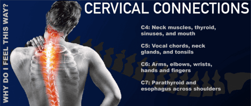 Cervical Connections