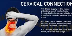 Cervical Connections