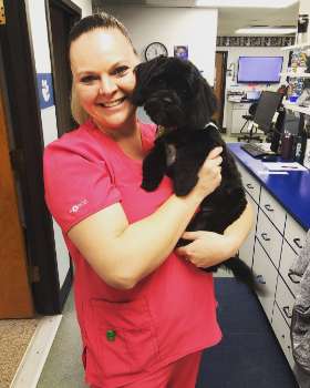 Animal Hospital of New Albany