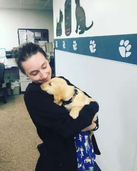 Animal Hospital of New Albany