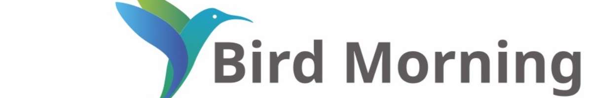 Birdmorning Solutions Banner