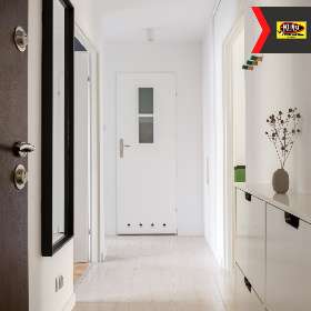 Choosing the Right Paint for High-Traffic Areas - Kunst Painting