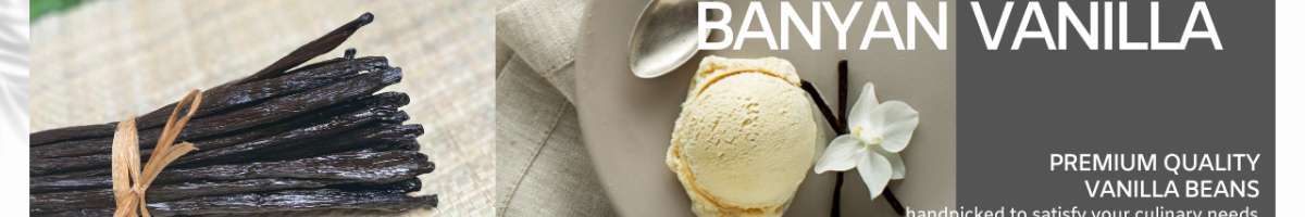 Banyan Vanilla Banner