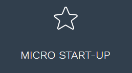 Micro Start Up