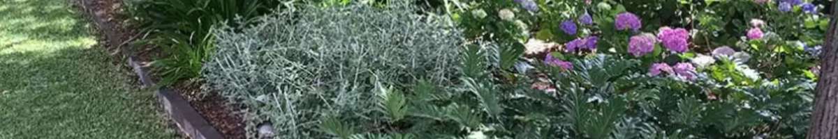 Appleseed Gardening Banner