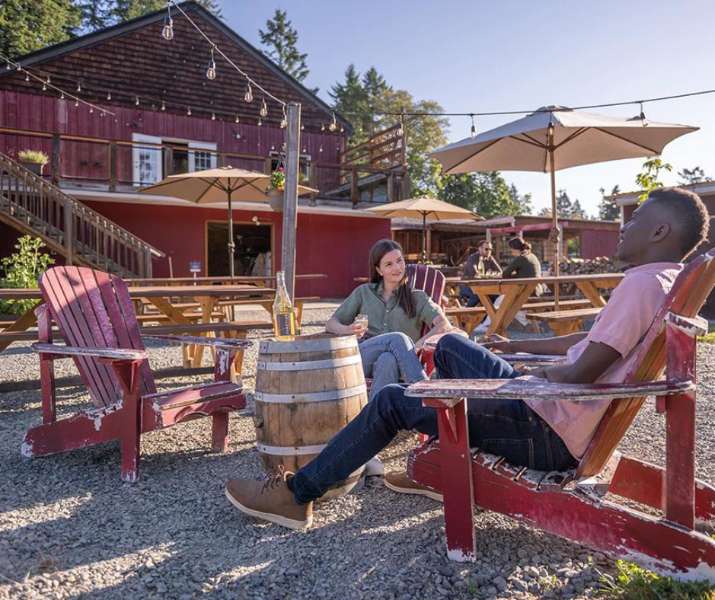 Junction Cidery: A Rustic and Family-Friendly Destination