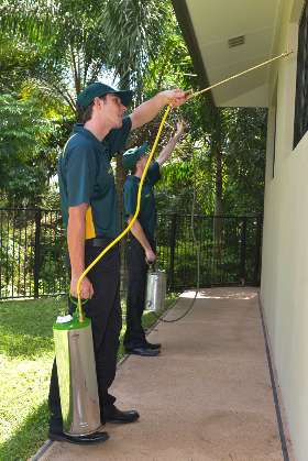 Peter & Paul's Pest Control 