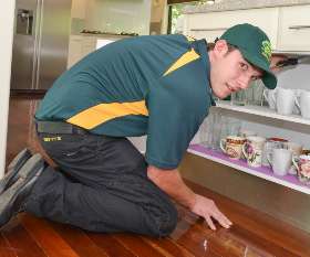 Peter & Paul's Pest Control 