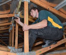 Peter & Paul's Pest Control 