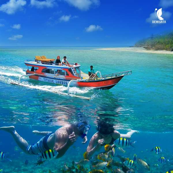 Free Open Trip