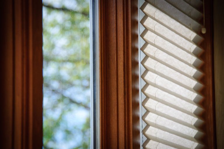 Upgrade Your Miami Home with the Perfect Shades & Blinds: Motorized and Cellular Options