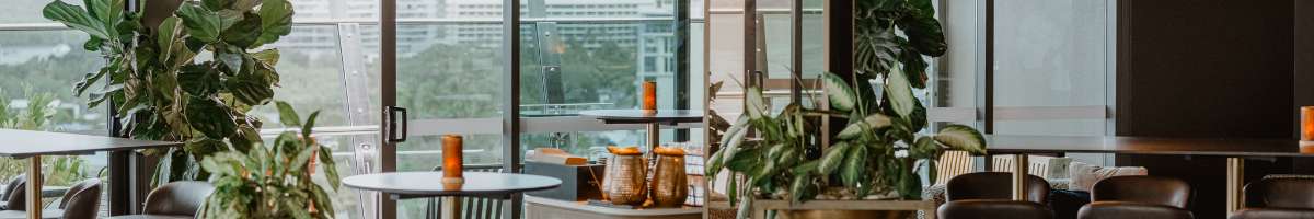 Rocco by Crystalbrook Banner