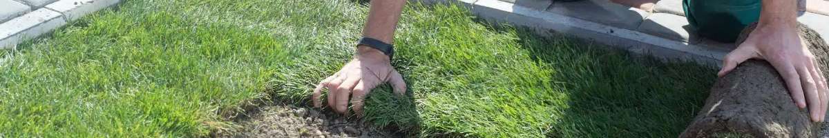 A1 Bargain Gardening & Landscaping Sydney Banner