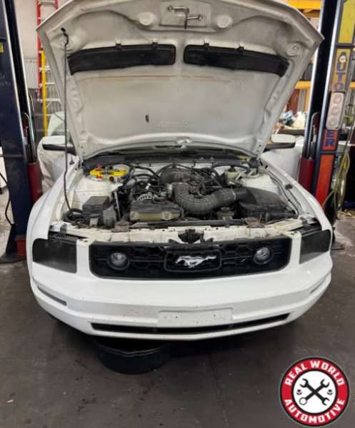 Why Regular Car Check-Ups Are Your Vehicle’s Best Friend