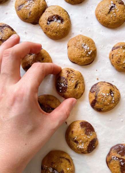 From Fortune to Comfort: A Delicious Exploration of Cookie Varieties