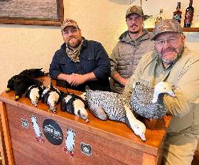 Emperor's Delight: A Day of Long Tails and Scoters I Aleutian Islands Waterfowlers @ Cold Bay Adventures Lodge
