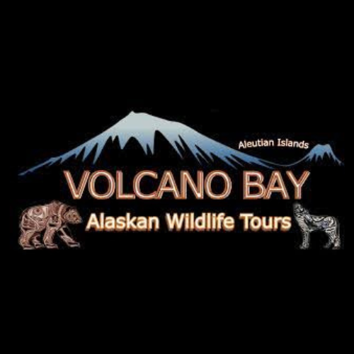 Volcano Bay Alaskan Wildlife Tours