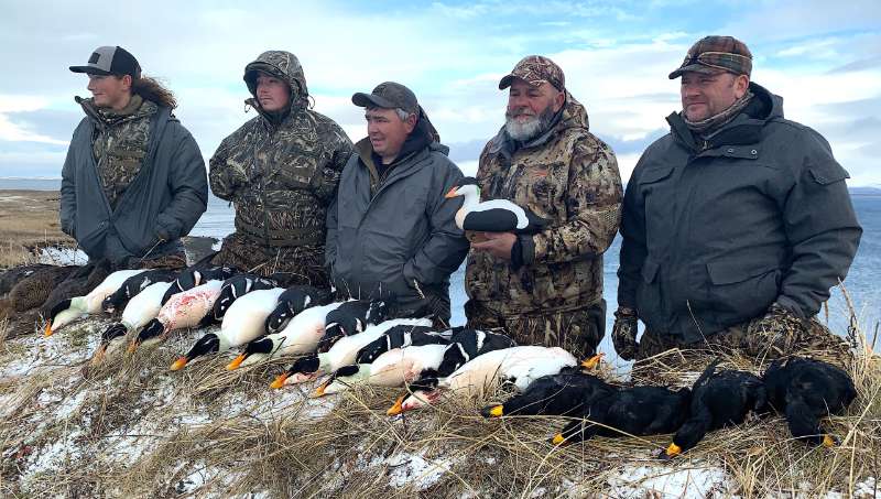 Alaskan Duck Hunting Adventures: Experience Guided Hunts with Expert Guides