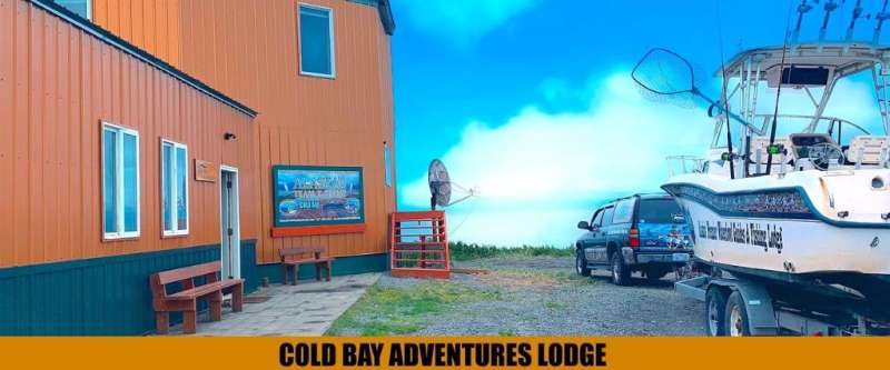 Where to Stay in Cold Bay, Alaska: A Hunter's Guide to Lodging