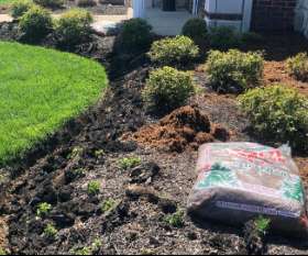 Fresh mulch and edges for our condo complex  | Turf Tech