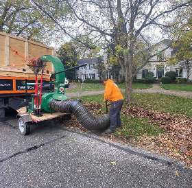 Leaf removal service   | Turf Tech