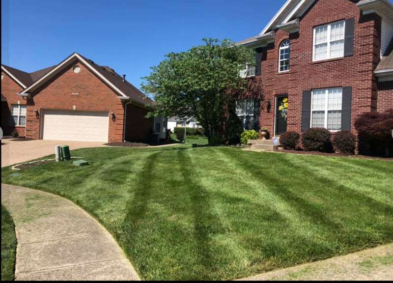 The Importance of a Healthy Lawn