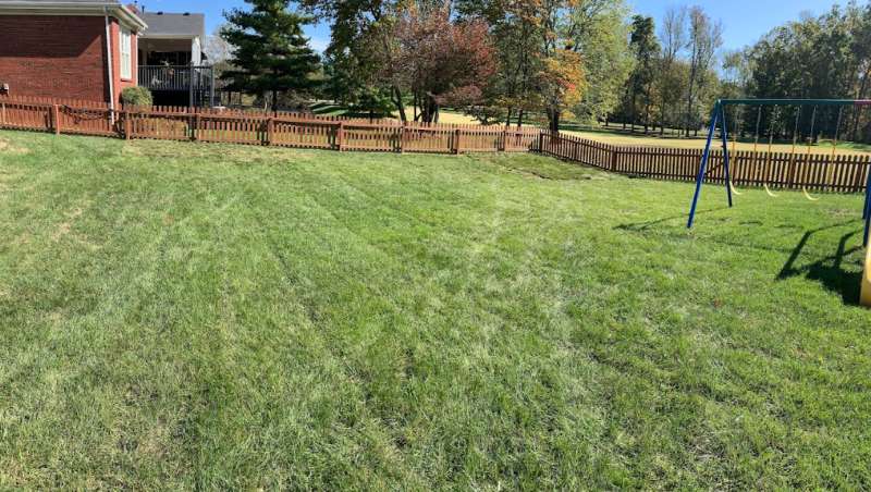 Ensuring Safe Outdoor Play: Importance of Residential Outdoor Mosquito & Pest Control by Turf Tech