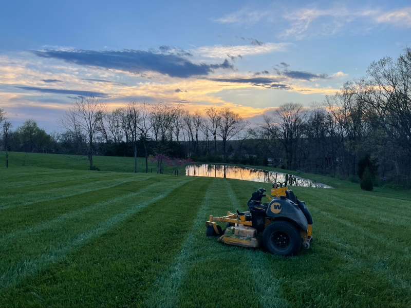 Achieve a Weed-Free, Lush Green Lawn with Turf Tech’s Customized Plans