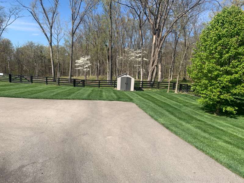 Transform Your Lawn with Turf Tech: Achieve a Weed-Free, Lush Green Oasis