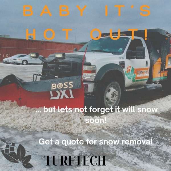 Summer's Here, But Winter is Coming! ❄️