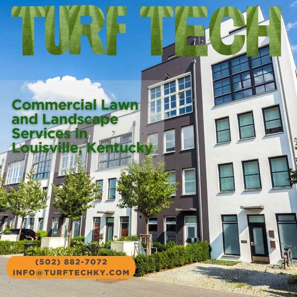 Prepare Your Property for the Season Change with TurfTech