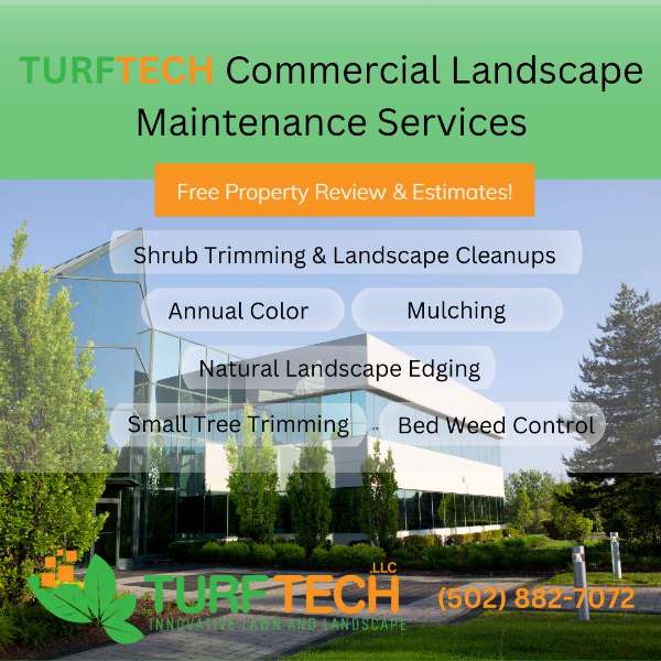 Keeping Your Building’s Landscaping in Tip-Top Shape: Make Guests Feel Welcome!