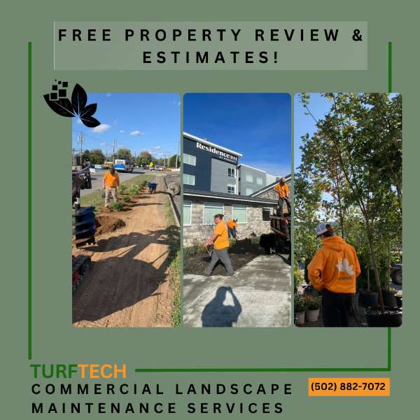 Elevate Your Business Landscape with Turf Tech