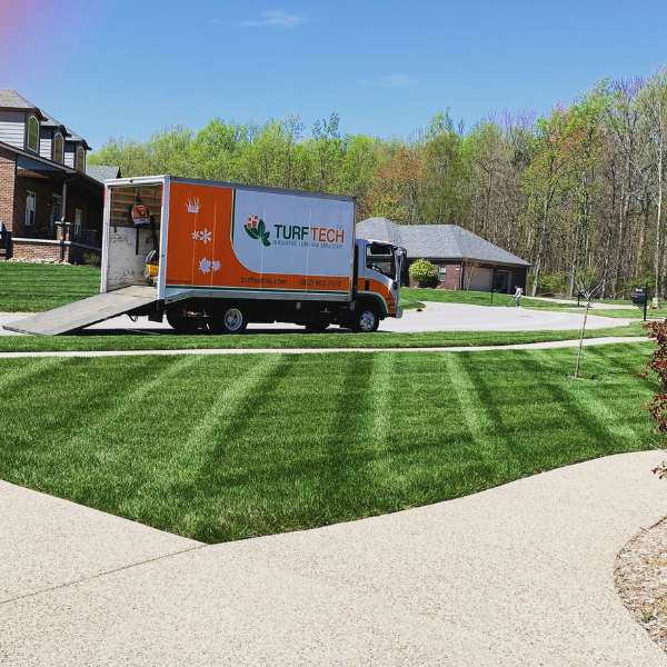 Transform Your Lawn This Fall: The Power of Overseeding