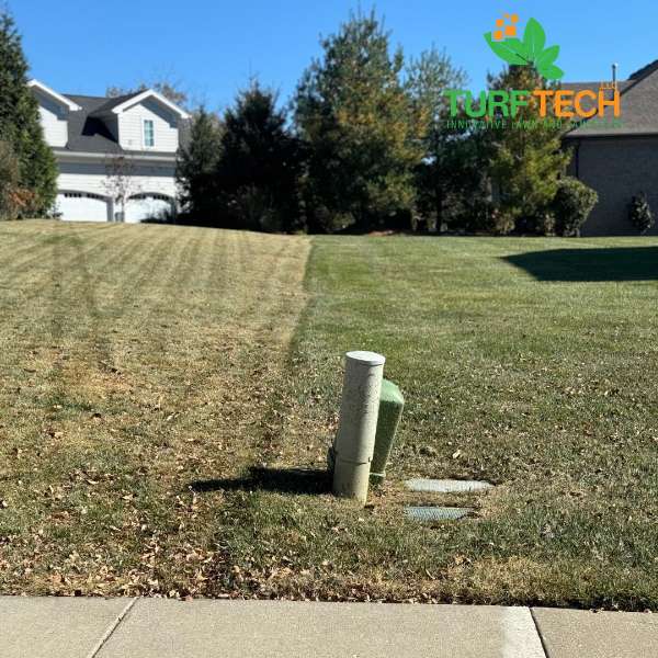 Transform Your Lawn with Turf Tech: Why Our Fertilization & Weed Control Program Stands Out