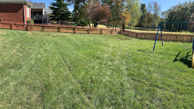 Choose Turf Tech for Remarkable Lawn Transformation