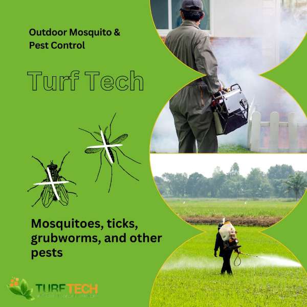 Reclaim Your Outdoor Oasis: Expert Mosquito & Pest Control by TURF TECH