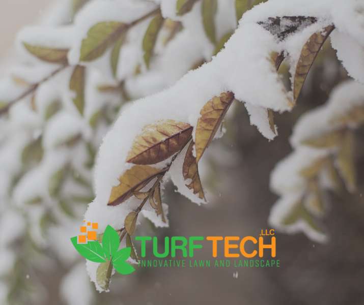 Plan for winter weather clearing now!