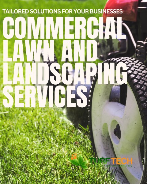 Commercial Lawn and Landscape Services in Louisville, Kentucky