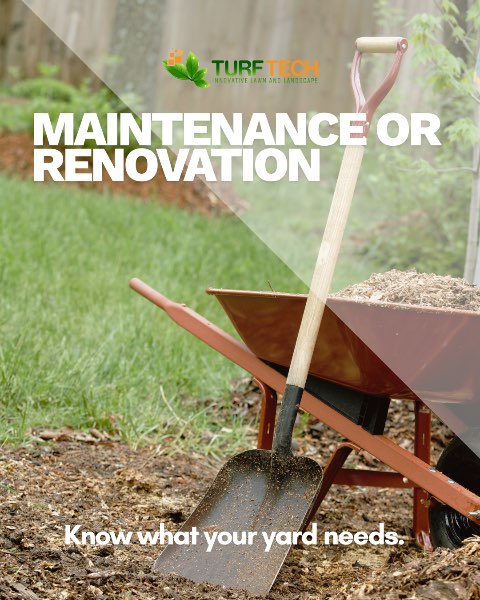 Lawn Maintenance vs. Lawn Renovation: Which Does Your Yard Need?