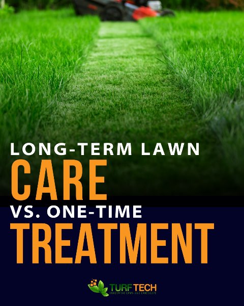 Long-Term Lawn Care vs. One-Time Treatments: What Really Delivers Results?