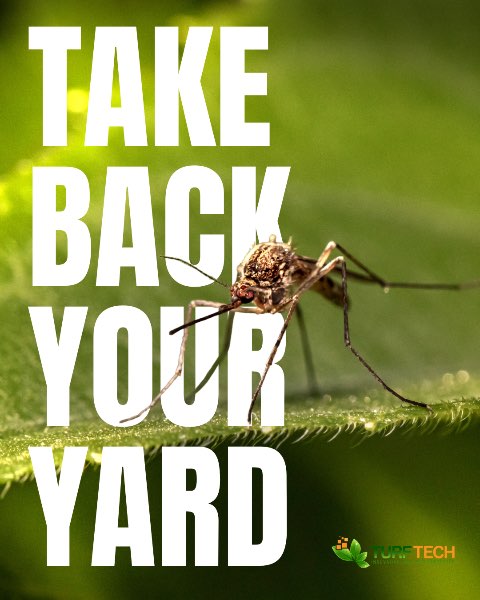 Take Back Your Yard with TURF TECH Residential Pest Removal Services