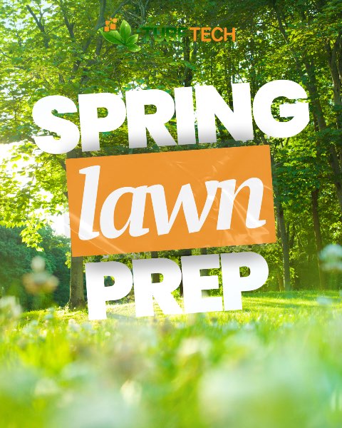 Spring Lawn Prep: How to Get Your Yard Ready for Growth ????