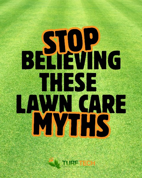 Lawn Myths Busted: What REALLY Works in Lawn Care